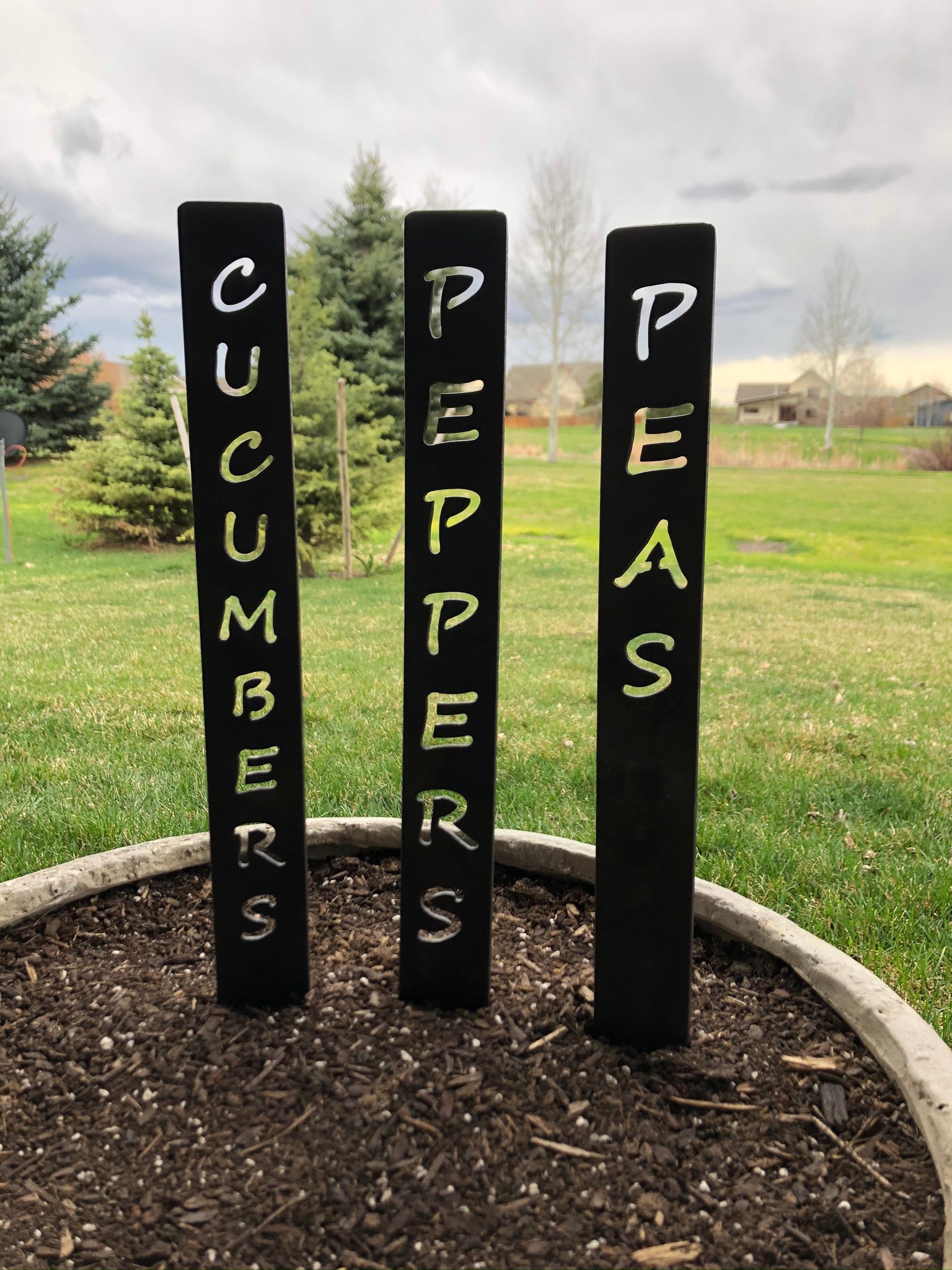 Garden Vegetable Stakes